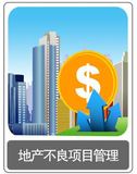 問(wèn)題房地產(chǎn)項(xiàng)目投資與管理